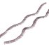 Gene-decorative-1maro